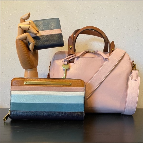 My Fossil Set Is Complete!! - Picture 2 of 6